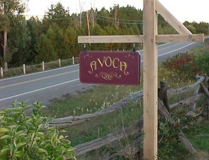 Avoca